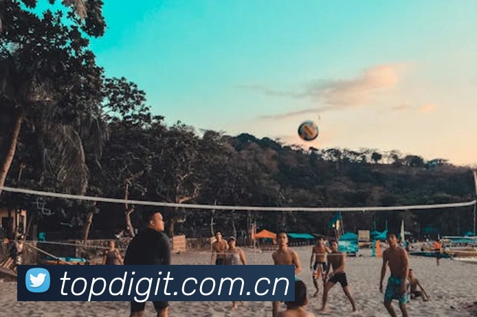 App Interface Preview